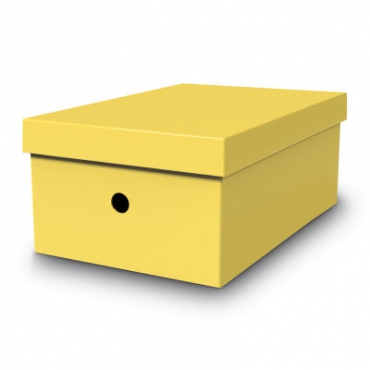 Mas Karton Kutu Sarı