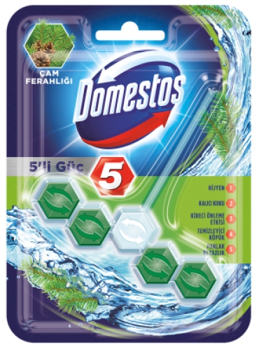 Domestos Tuvalet Blok 5li Güç Çam Ferahlığı