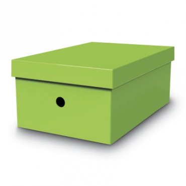 Mas Karton Kutu Yeşil