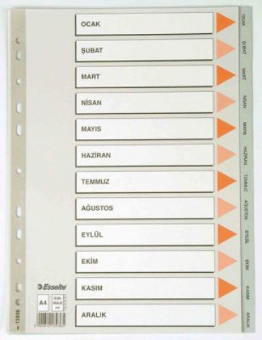 Esselte A4 PP Seperatör Aylar