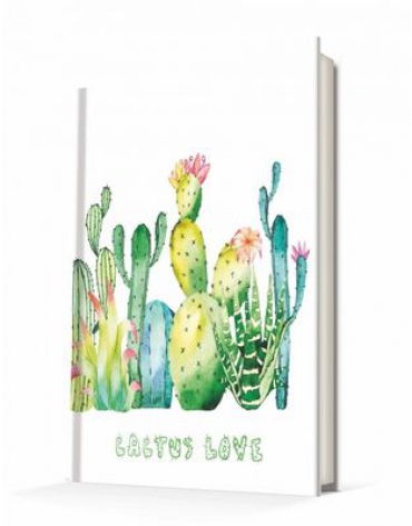 Deffter Cactus love 2 Not Defteri