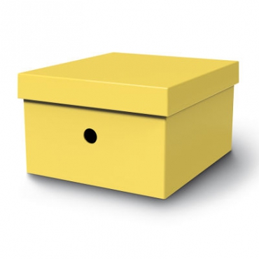 Mas Karton Kutu Sarı